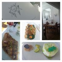 Tofu, seitan e sobremesa at Em Carne Viva in Porto