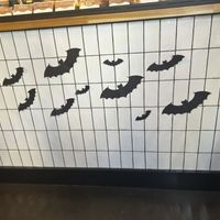 Cute  at Sevens in Buffalo