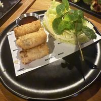 Netted Spring rolls   at Brother Bon in Northcote