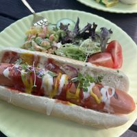 Vegan hot dog  at Care In The Garden CIC in Wootton