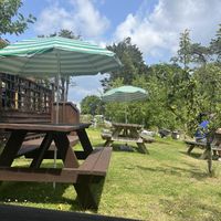 Garden seating area  at Care In The Garden CIC in Wootton