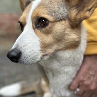   at Theehuis Engels Tuin in Ootmarsum