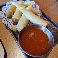 Vegetable "egg" rolls, the sauce is amazing!! at Nana's Dim Sum and Dumplings in Aurora