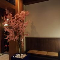 Decor inside Shiki-Sai at Walt Disney World - Shiki-Sai: Sushi Izakaya in Lake Buena Vista