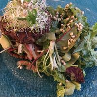 Burger at Beauty of Sprouts in Sarasota