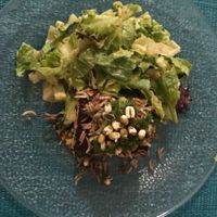 Delicious Vegan food oil free upon request.  at Beauty of Sprouts in Sarasota