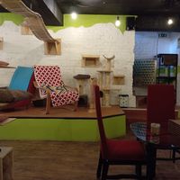  at Kitt&Café Toulavý Ráj in Kromeriz