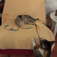  at Kitt&Café Toulavý Ráj in Kromeriz