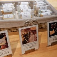  at MIMI - Vegan Sweets & Restaurant in Kyoto