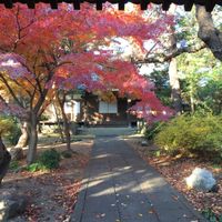 beautiful grounds of the temple at Sankoin in Tokyo