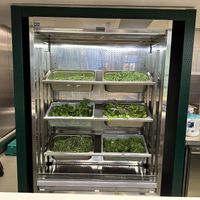   at The Salad Project - Duke St in West London