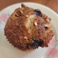 Blueberry walnut muffin at The Flexible Baker in Jeju