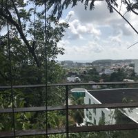 View at Santosa Vegan Restaurant in Phuket