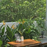  at Odabia - Vegan Café & Desserts in Da Nang