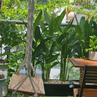  at Odabia - Vegan Café & Desserts in Da Nang