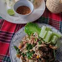 Tofu larp & fresh spring rolls at Amazing Vegan Food in Vang Vieng