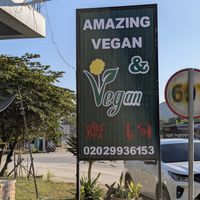  at Amazing Vegan Food in Vang Vieng