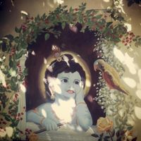 garden at Hare Krishna in Lisbon