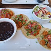 vegan tacos, amazing beans at Vamos in Berlin