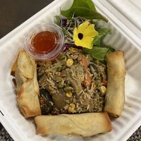 the special (spring rolls, fried rice, and salad)  at WorldBeat Cafe in San Diego