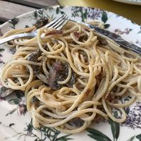 Dish of the day - pasta with mushrooms (also came with vegetable soup and strawberry lemonade) and it cost 11€  at 528hz  in Espinho