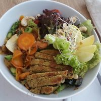 Salad with falafel and nuts.  at Die Zauberei in Bregenz