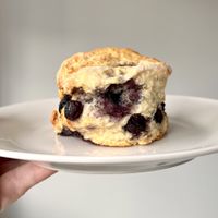 Blueberry scone  at Fika Coffee in Christchurch