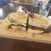   at The Modern Rose in St Augustine