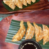 Fried gyoza  at Mango in Bangkok
