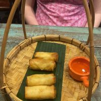 Spring rolls  at Mango in Bangkok