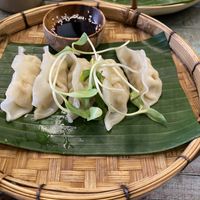 Dumplings   at Mango in Bangkok