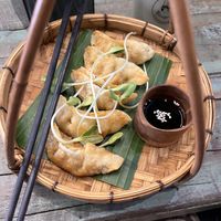 Fried Vegetable Gyoza  at Mango in Bangkok