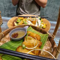 The best spring rolls at Mango in Bangkok