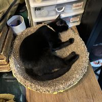 ❤️❤️❤️  at Mango in Bangkok