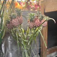 Mit viel Deko  at Mango in Bangkok