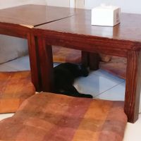 Mango at Mango in Bangkok