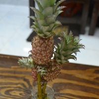 gorgeous decoration  at Mango in Bangkok