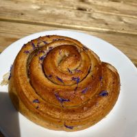 Vegan bun  at Wyatts Cafe in Derby