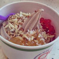 Coconut and vanilla almond milk froyo at Goji's in Halifax