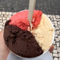 clearly labeled menu; staff was super helpful and friendly. all the flavors were delightful, but i highly recommend the dark chocolate!  at Abracadabra Gelato in Sao Miguel