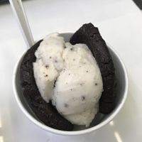 Soy based mint choc chip ice cream w vegan choc cookies.  at CREAM in Palo Alto