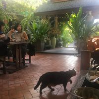 Breakfast View at Green Tiger House in Chiang Mai
