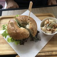   at Green Tiger House in Chiang Mai