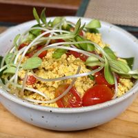 Scrambled tofu  at Green Tiger House in Chiang Mai