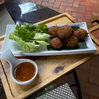 falafel  at Green Tiger House in Chiang Mai