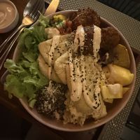   at Green Tiger House in Chiang Mai