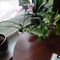 Interieur at Mong Mo in Leipzig