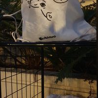 Cute bags "peace begins on your plate" at Herbívoro -  Av. Suba in Bogota