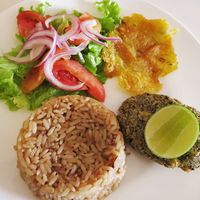 Plátano, burger, coconut rice and salad. at Herbívoro -  Av. Suba in Bogota