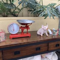 Bulk section at Herbívoro -  Av. Suba in Bogota